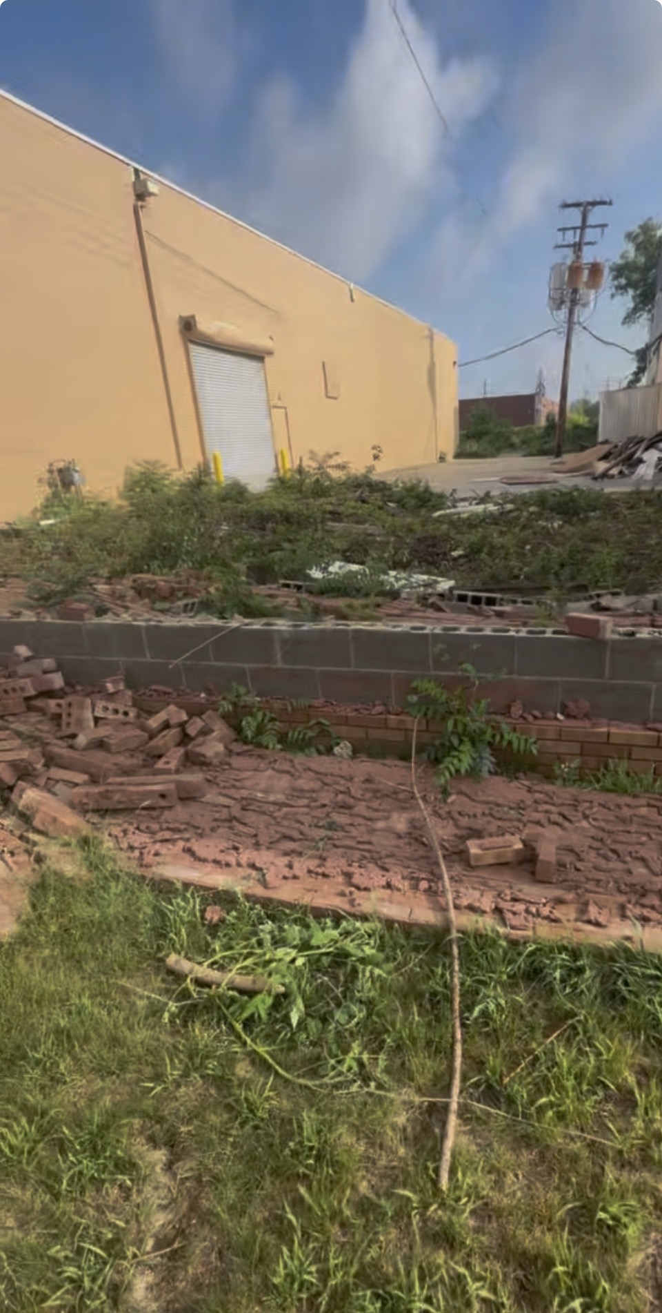 Before dumpster rental cleanup in Livonia Michigan — commercial lot with piles of broken bricks, overgrown weeds, and debris
